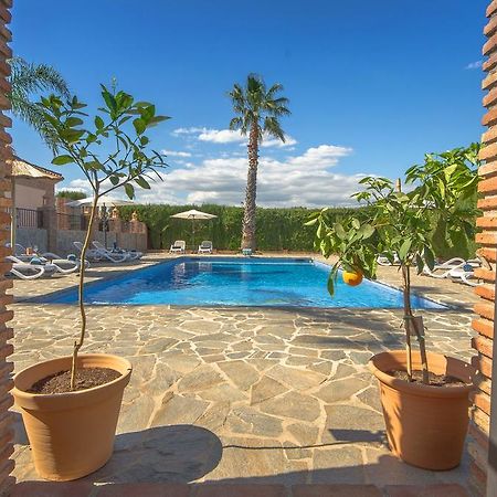 Alhaurín de la Torre Villa Conmigo Bed & Breakfast מראה חיצוני תמונה